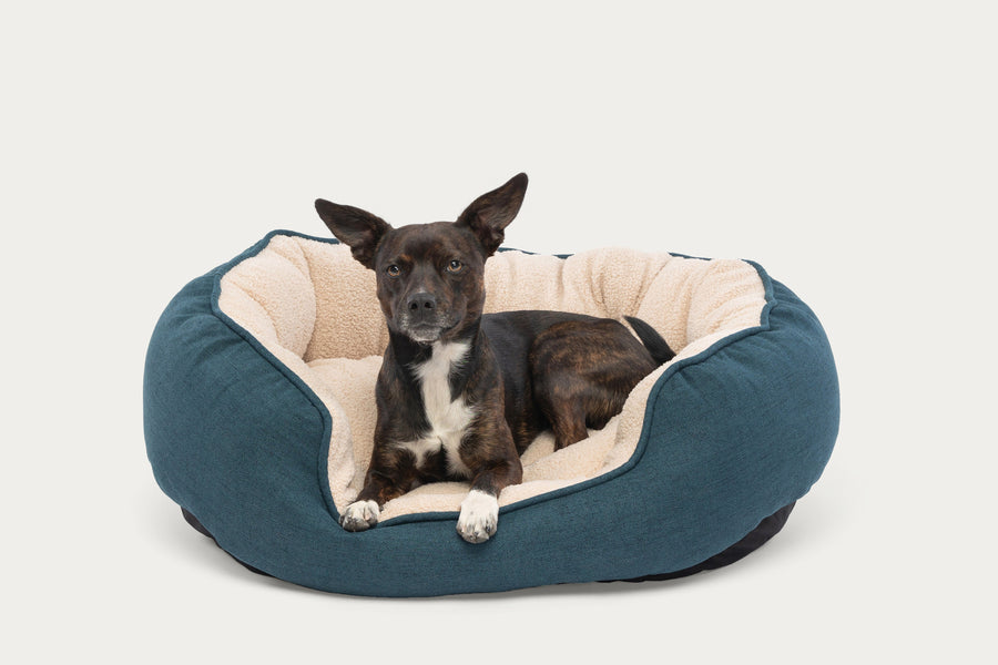 Oval Cuddler SleepDog™ Pet Bed