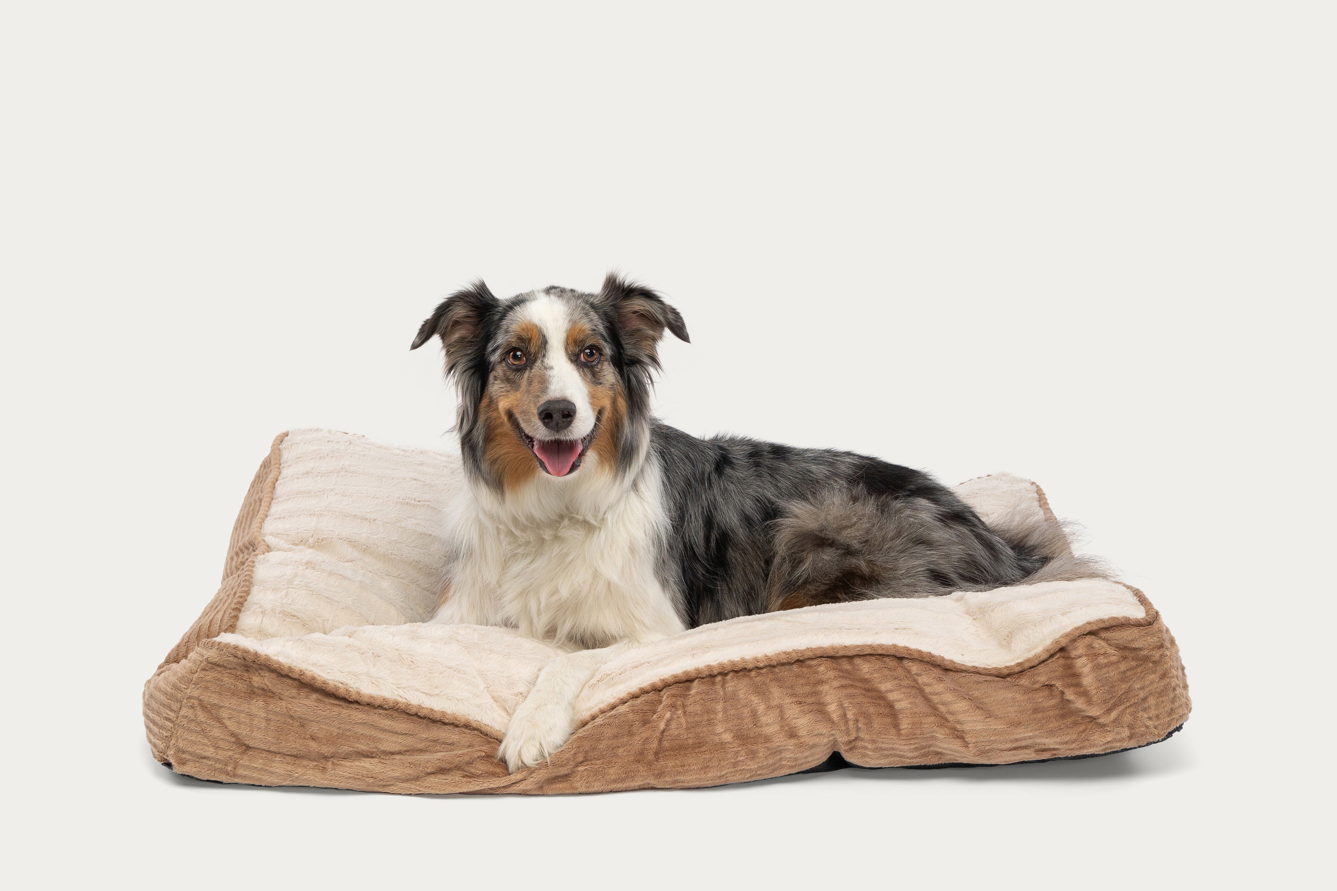 Deluxe Gusseted SleepDog™ Pet Bed - Main Image