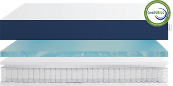 Original Hybrid Cutaway