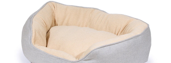 Best Pet Mattress Size & Material for French Bulldogs