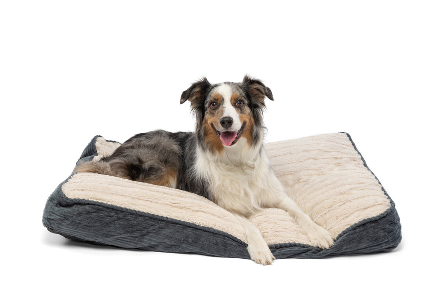 Deluxe Gusseted SleepDog™ Pet Bed Product Image